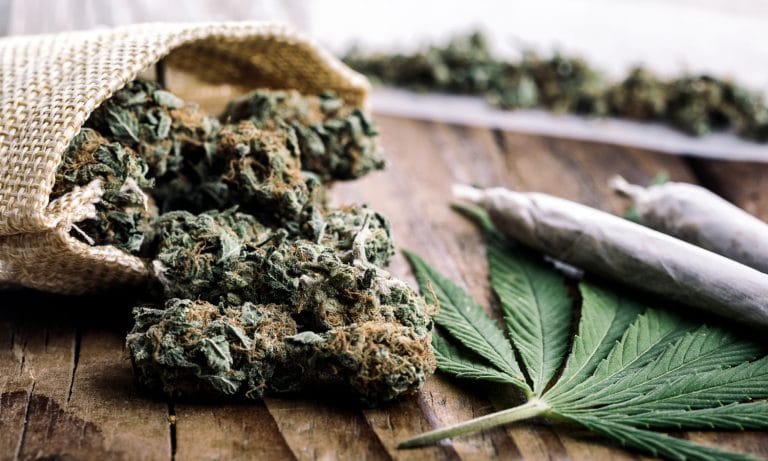 Saying ‘Cannabis’ Instead of ‘Marijuana’ Doesn’t Influence Public Opinion