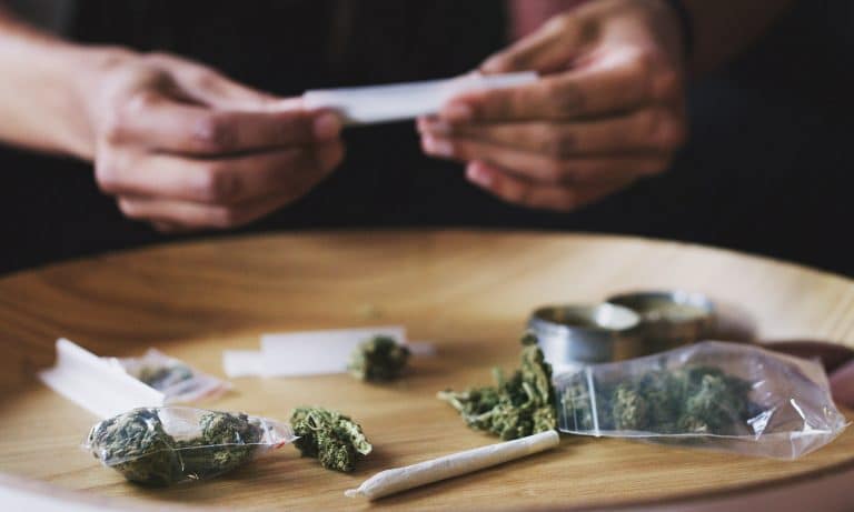 Study Finds Cannabis Use Disorder Declining Among Daily Users