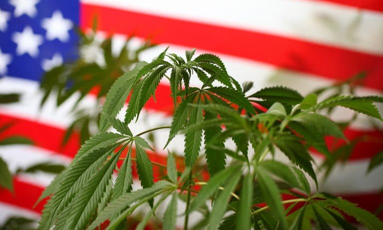 The War On Drugs Isn’t Over, According To The FBI