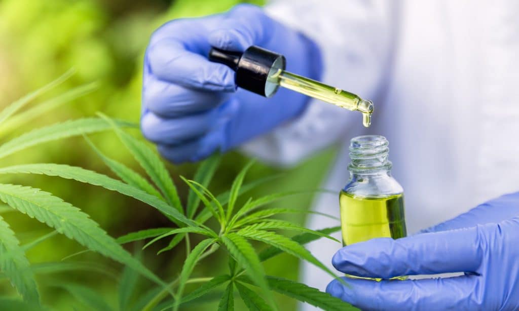 CBD Might Help Treat Seizures Triggered By Rare Genetic Disorder
