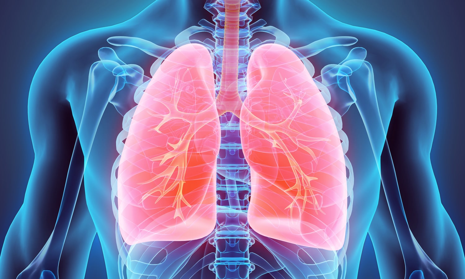 How Does Smoking Marijuana Affect Your Lungs Exactly?