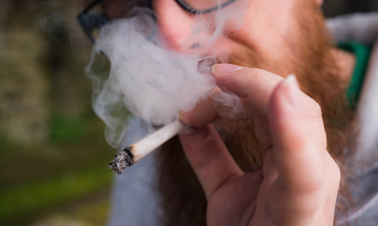 Long-Term Marijuana Use Raises Risk Of Testicular Cancer, Study Finds