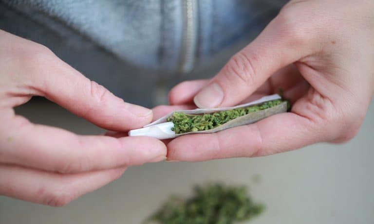 The Dark Side Of Cannabis Legalization And One Biotech Company’s Solution