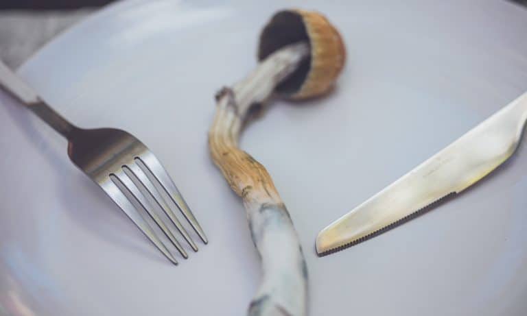 Could Psychedelics Be What Brings Us Back To Nature?