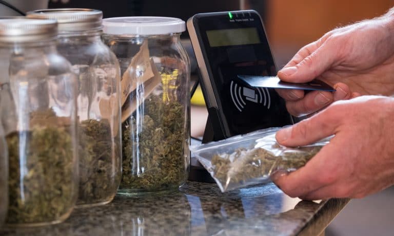 More Legal Marijuana Equals Less Crime, Maybe