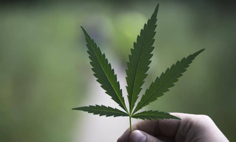 How To Know When It Might Be Time To Lay Off Marijuana