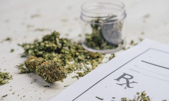 The Connection Between Cannabis And Multiple Sclerosis The Connection Between Cannabis And Multiple Sclerosis