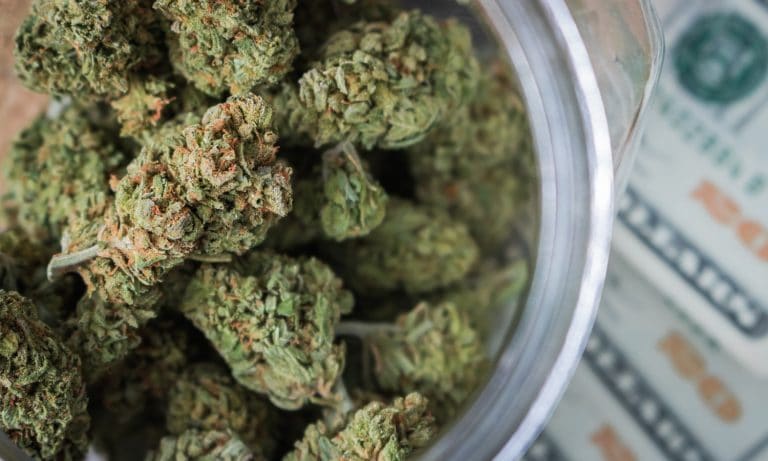 The Rise And Impending Doom Of Canna-Bro Culture