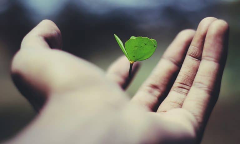 What Is Reiki And Is It Right For You?