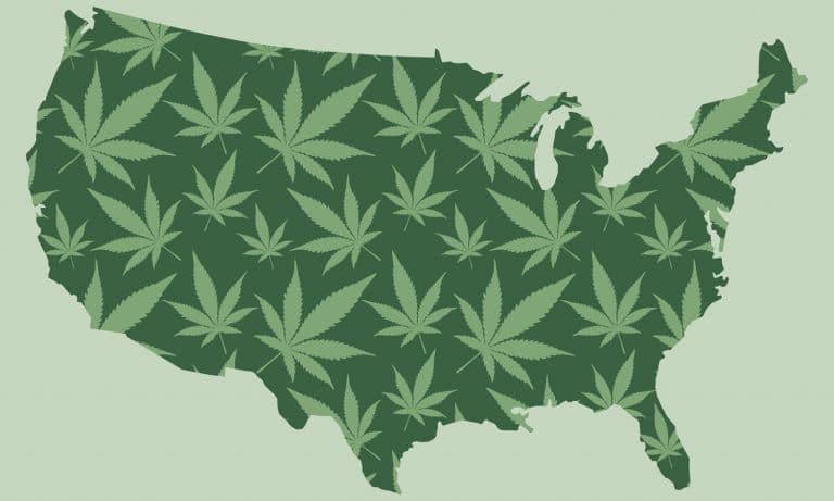 Which City Smokes The Most Weed