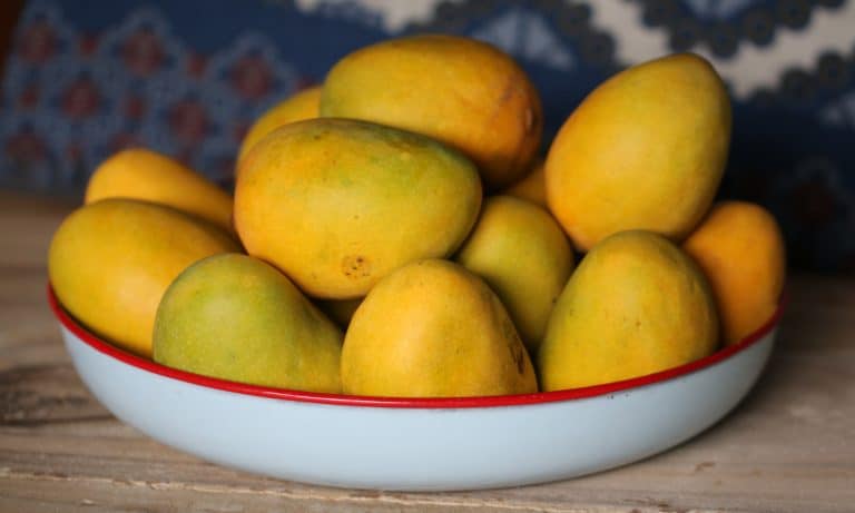Now Is The Time To Experiment With Marijuana And Mangoes
