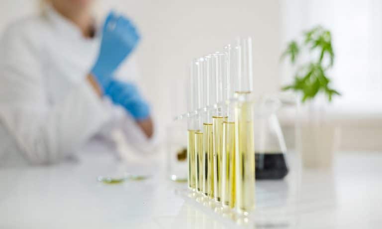 The Truth About CBD And COVID-19