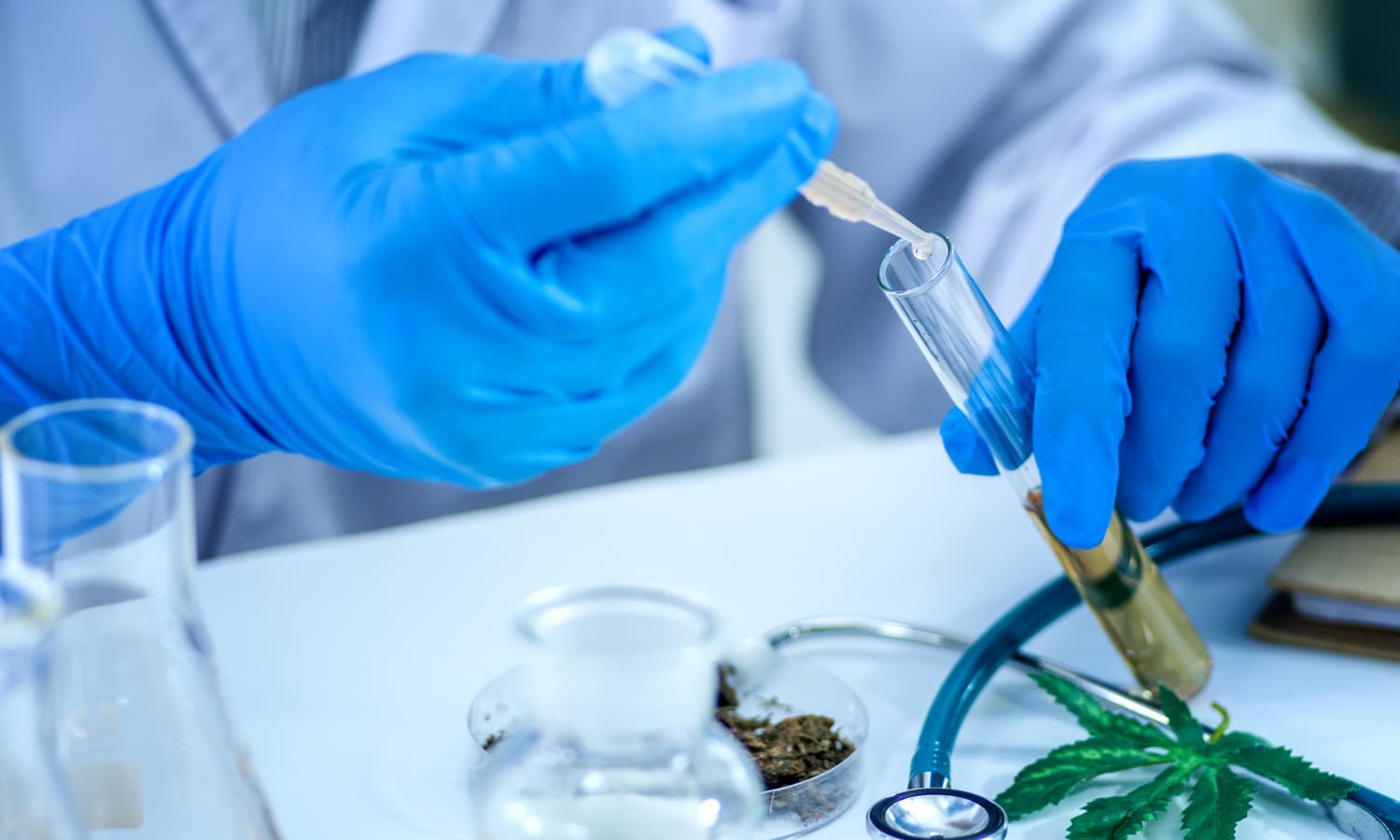 ICYMI: DEA And Cannabis Research Still Lousy Bedfellows - The Fresh Toast