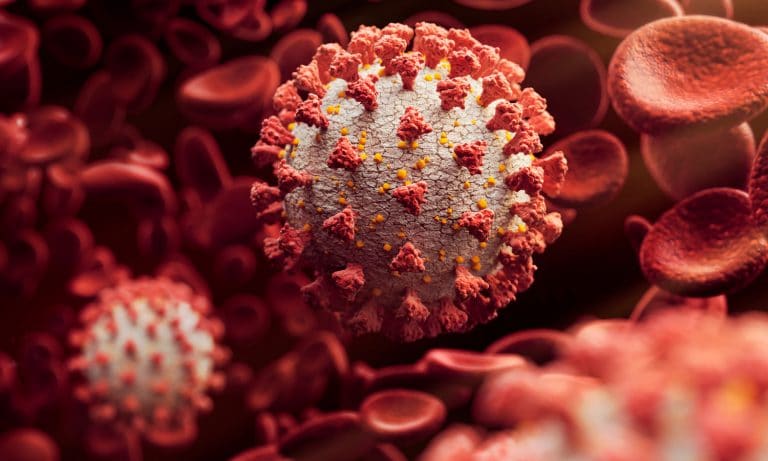 Study Says Cannabis Might Prevent COVID-19 Infections