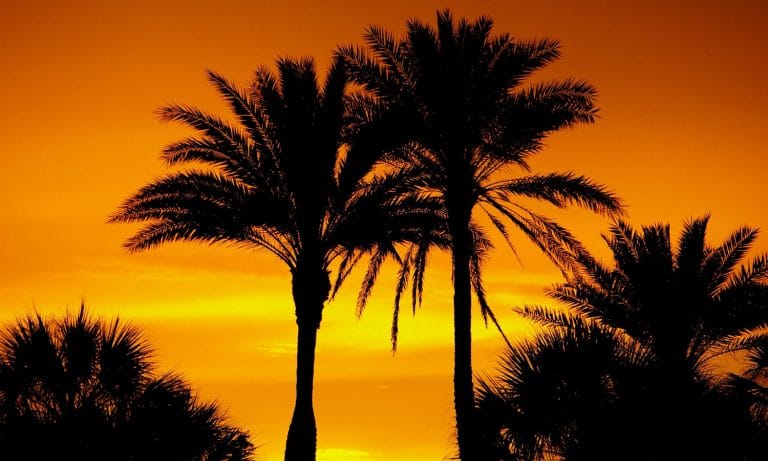 Did Florida Break The Law With Medical Marijuana?