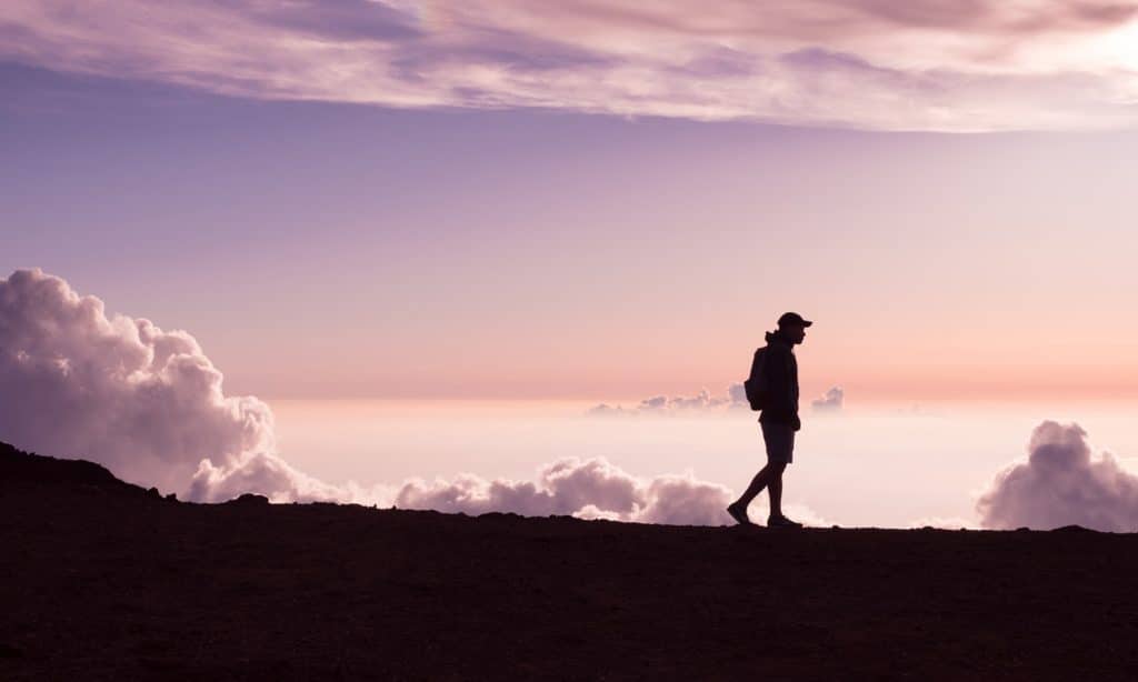 How marijuana and CBD contribute to calm, healing walks