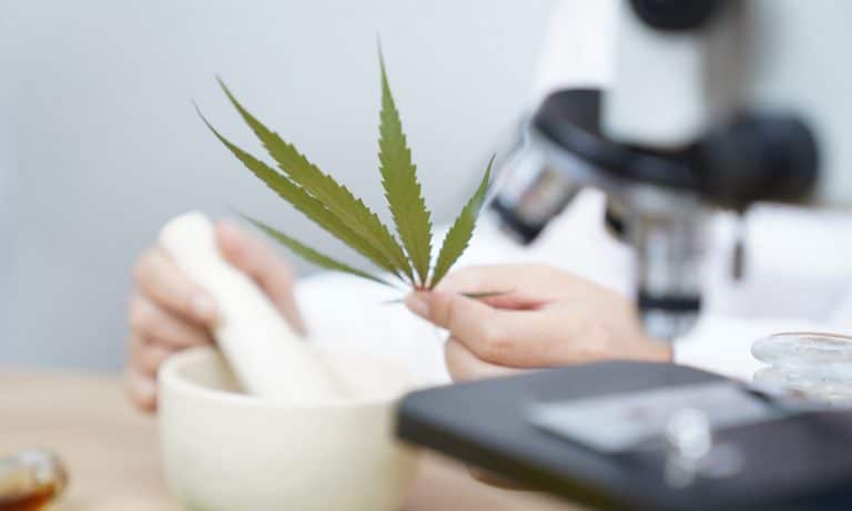 Researchers Say This Is The Best Age For Marijuana Use