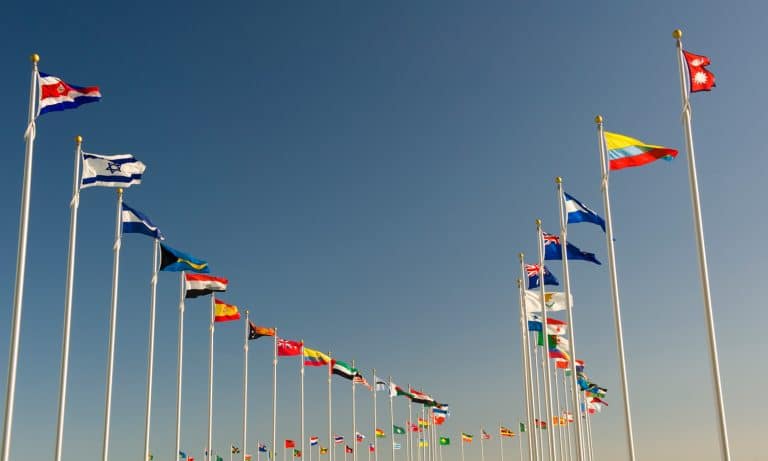 The World Trade Organization And Cannabis