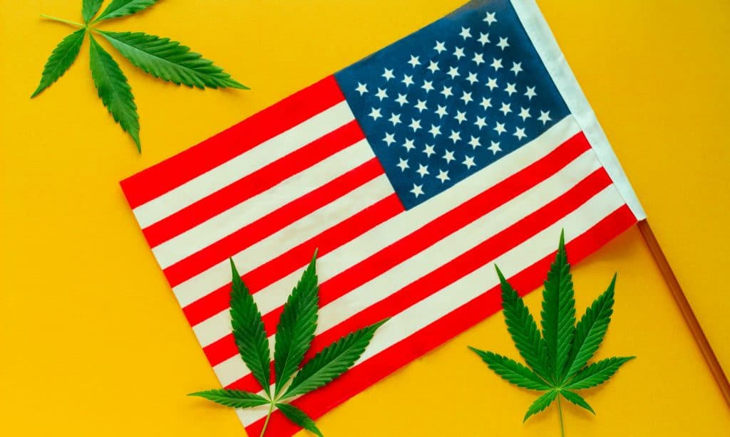 The Role Marijuana Legalization Can Play In Fighting Racial Injustice