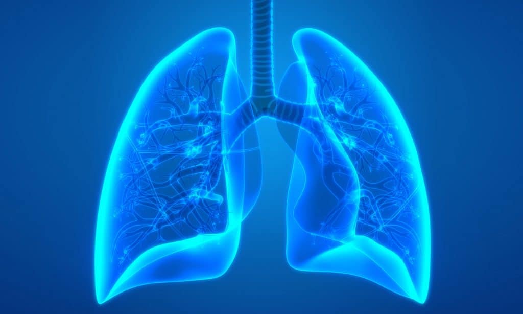 Cannabis Could Prevent Deadly Covid-19 Lung Inflammation