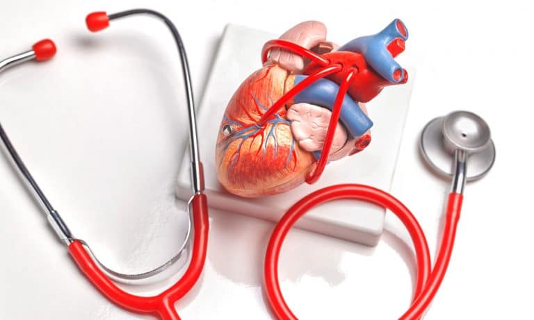Lifetime Marijuana Use Not Linked To Middle-Age Heart Health