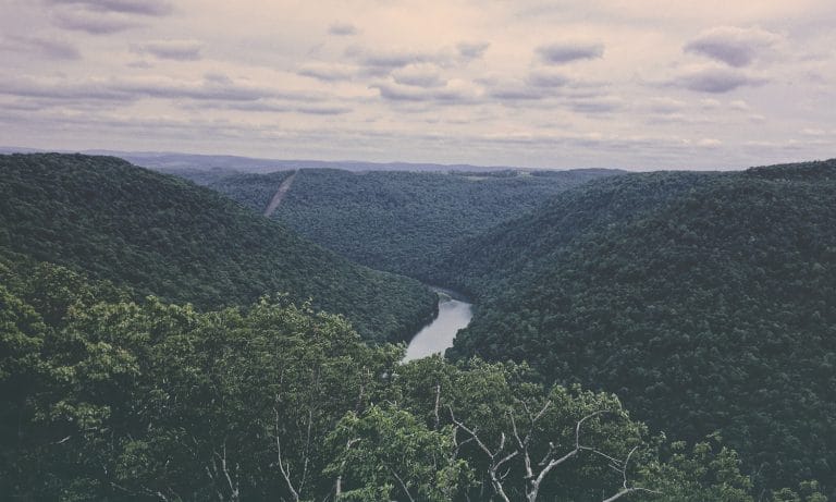 Drug Overdoses Kill More People In West Virginia Than COVID-19