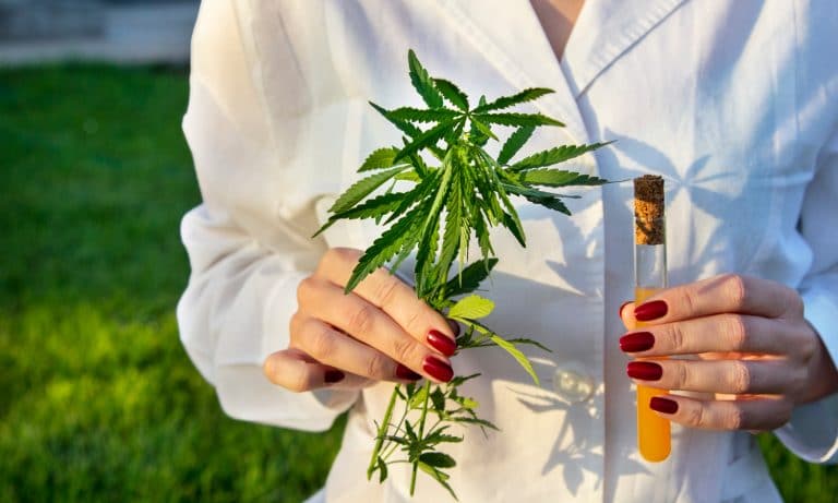 FDA Warns CBD Companies For Violations