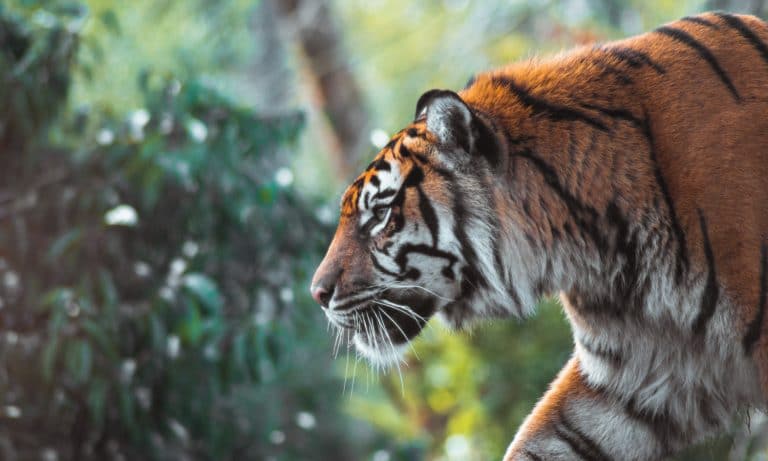 Publicist And Cannabis Advocate Taps Producer To Tell Harrowing Tale