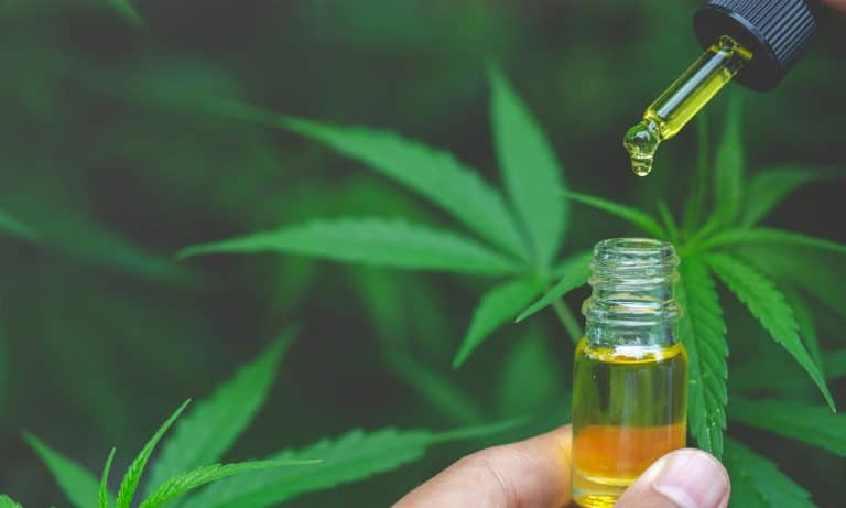 This Video Shares The Science Of Cannabis And CBD