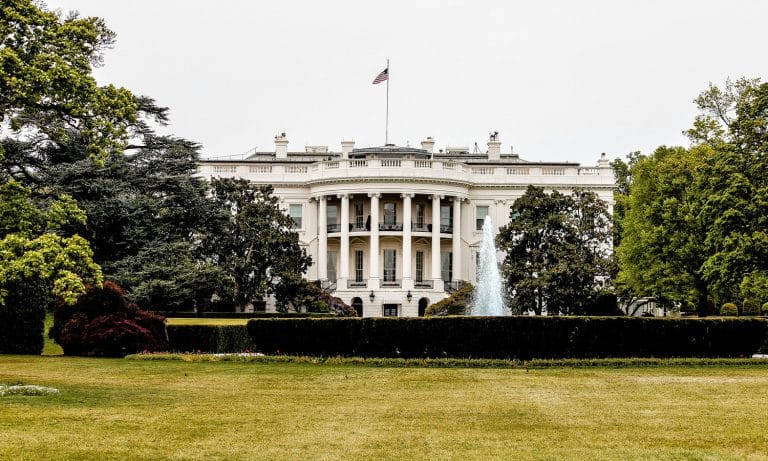Cannabis Legalization Does Not Depend On The Presidential Election