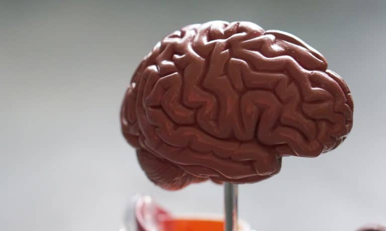 CBD And Blood Flow