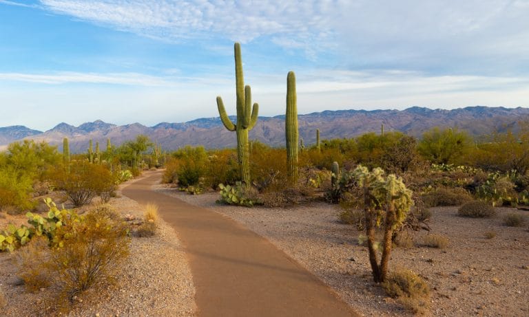 Probability Of Legal Marijuana Already Upsetting Arizona Lawmakers