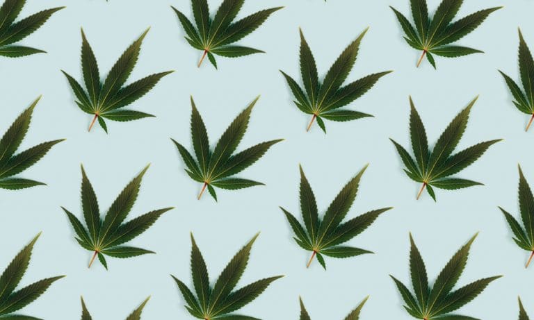 DEA Doesn’t Want You To Worry About Its New Hemp Rule