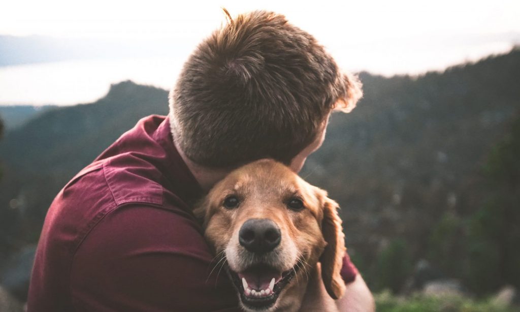 photo of man hugging tan dog