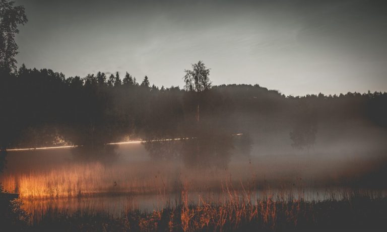 Wildfires Expected To Impact Hemp Crops