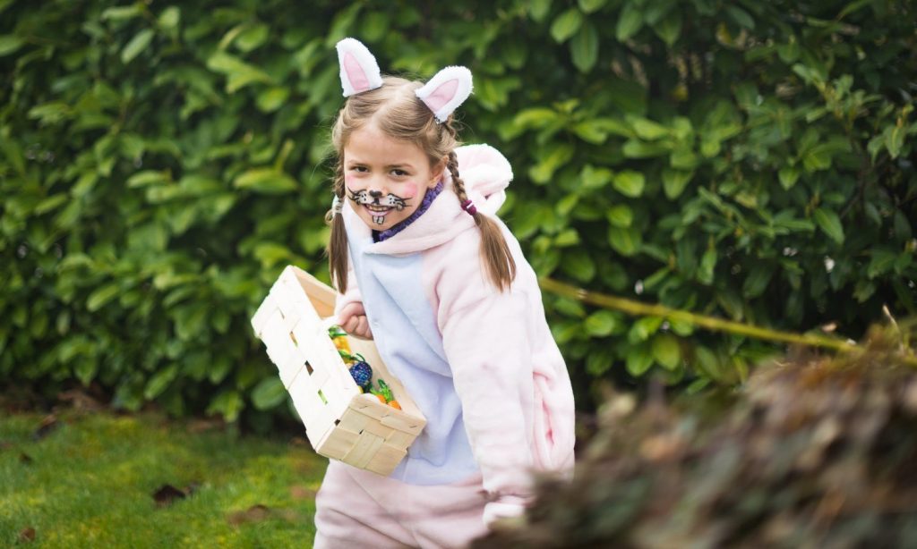 bunny costume