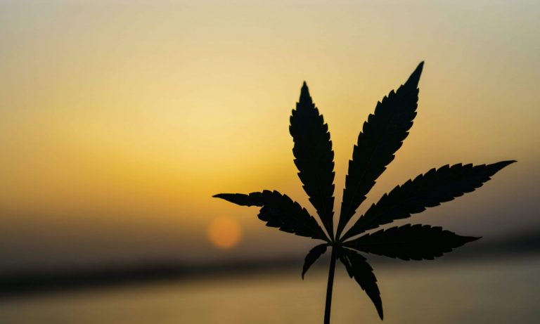 Hemp Litigation: DEA Sued Again