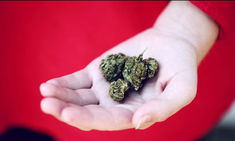 5 Early Cannabis Industry Trends In 2021