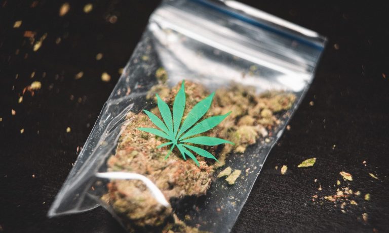 Cannabis Sales Expected To Hit $370M In Days Leading Up To 420