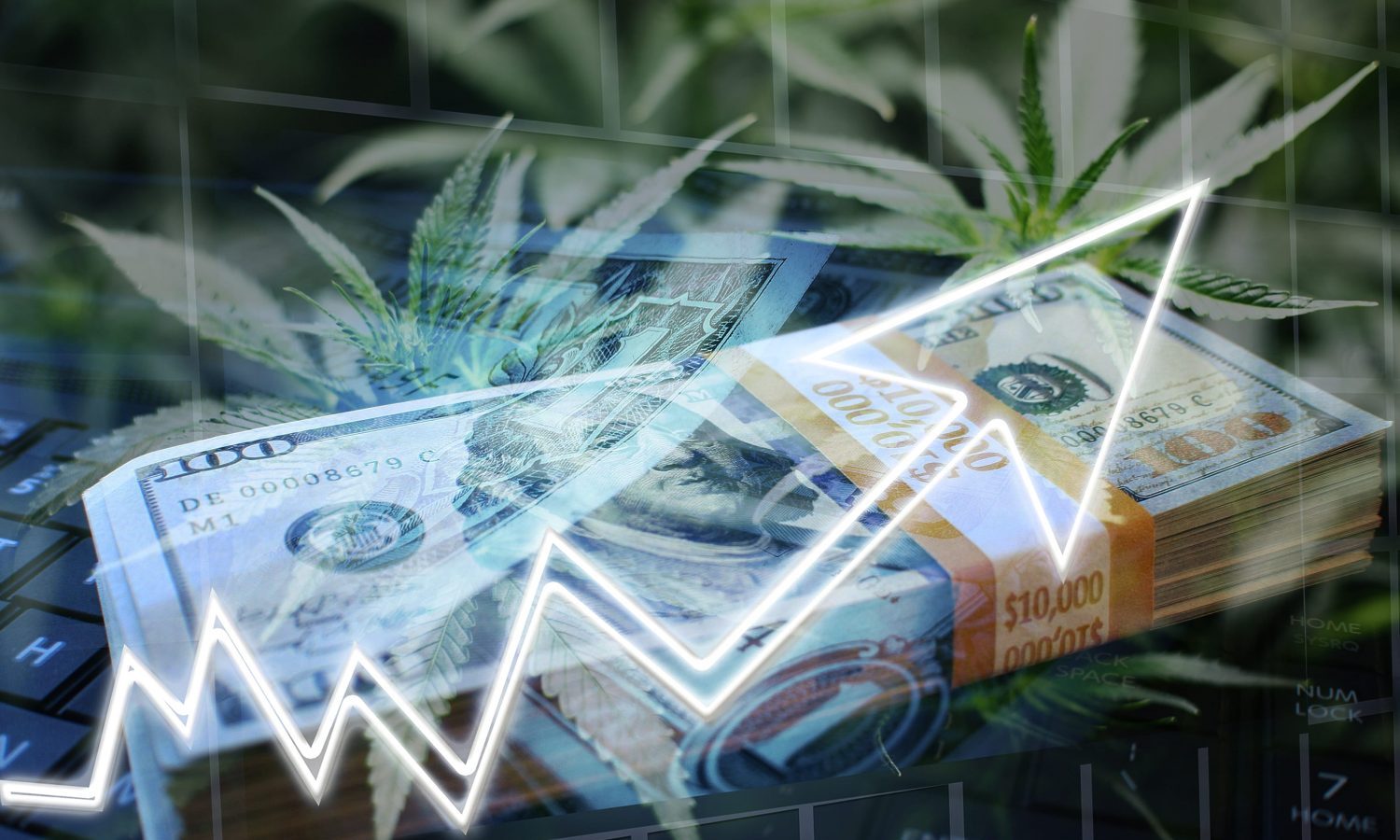 cannabis investing