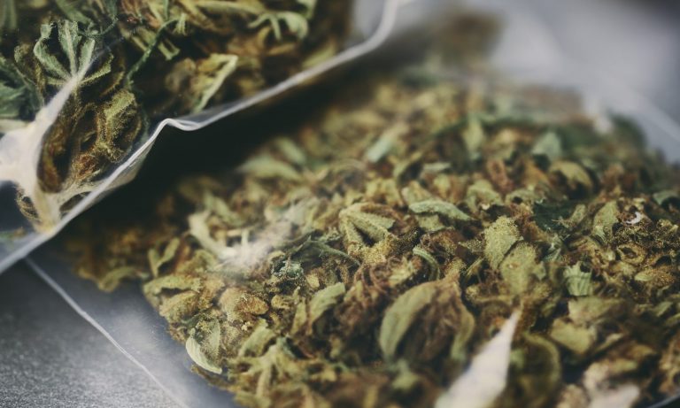 The Impact Psychedelics & Cannabis On Medicine