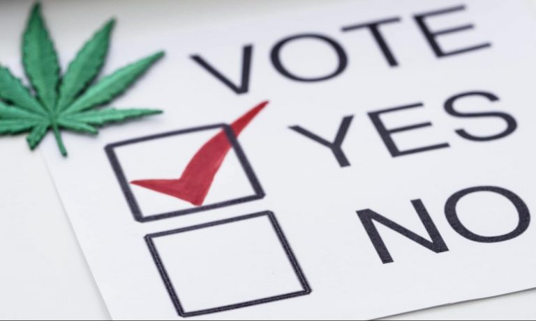 Did Marijuana Cost Trump The Election?