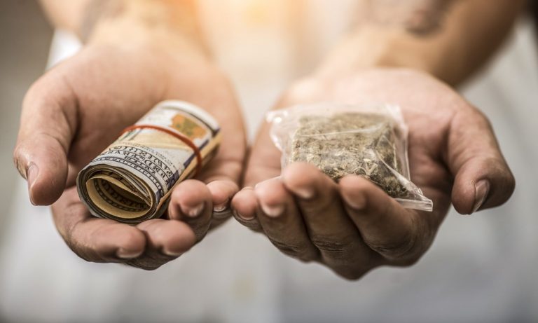 What To Expect When You’re Expecting Legal Marijuana
