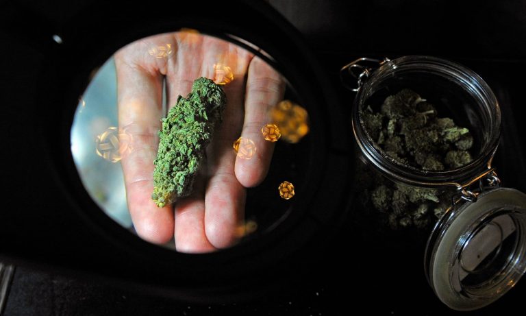 Arizona Bill Would Protect Marijuana Consumers — Here’s How