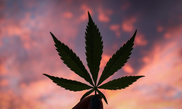 Marijuana Decriminalization And Legalization