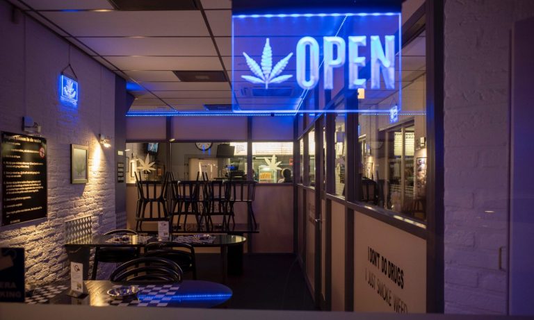 Top 5 Fresh Toast Stories Of The Week: Nov. 13, 2020