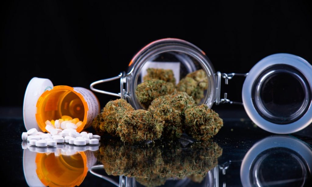 Cannabis And Pain Management: Is Alternative Plant Medicine Becoming The New Norm?