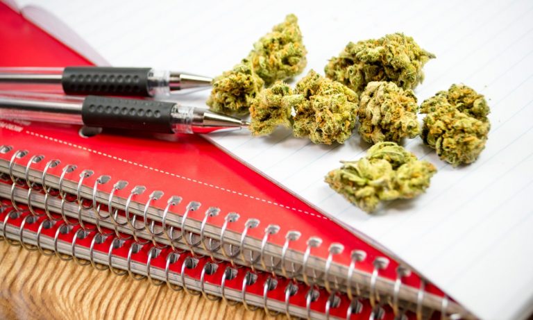 Colorado Votes Down Cannabis Tax Increase Meant To Support Educational Programs