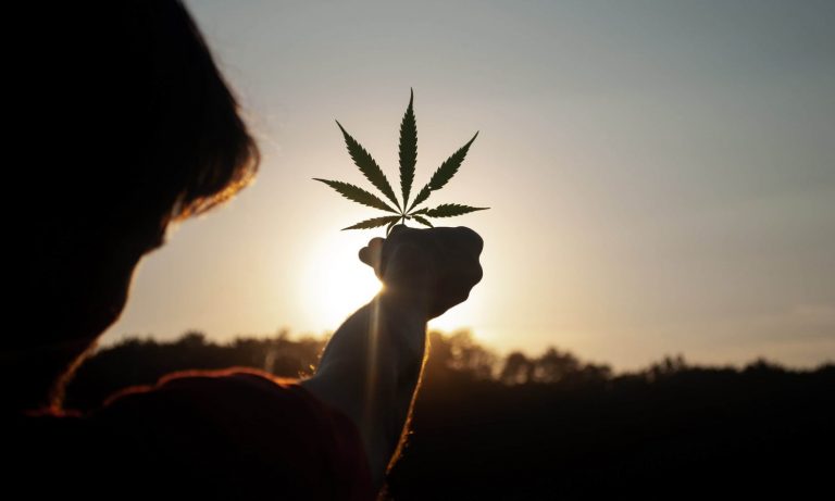 As Cannabis Reform Continues In 2021, Here’s What To Expect