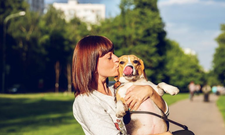 If Your Dog Has This Disease, You’re More Likely To Have It Too